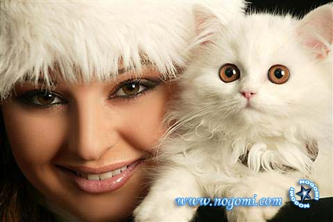 Click to see more...